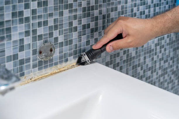 Best Mold Remediation  in Winfield, IA