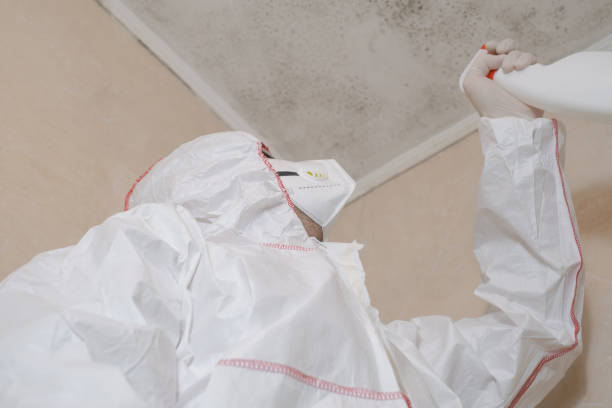 Best Local Mold Removal Service  in Winfield, IA